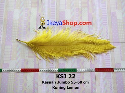 KSJ 22  large2
